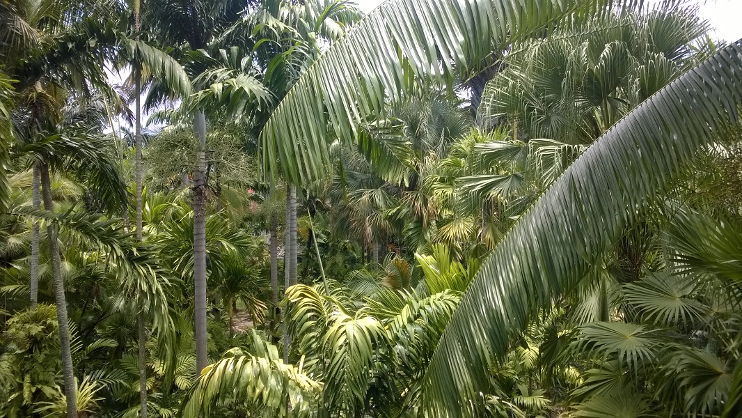 WP_20170730_146a.jpg