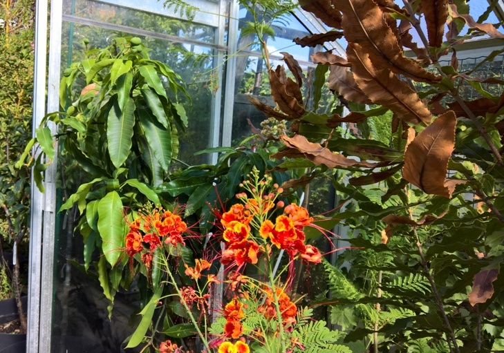 WP_20220808_10_31_16_Pro.jpg