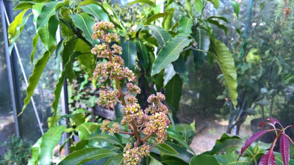 WP_20220808_10_30_26_Pro.jpg