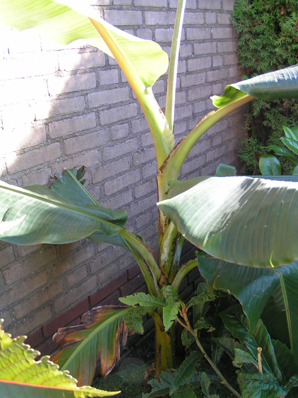 PICT0005.JPG