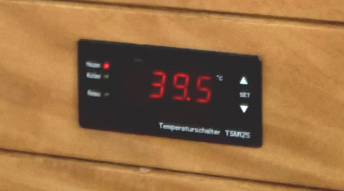 TSMI25.jpg