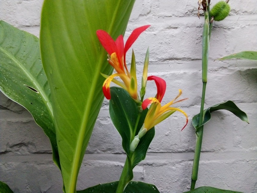 384104234_7111439215567447_3888953834447838138_n.jpg