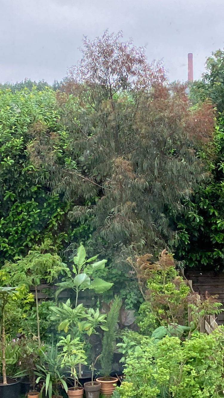 WhatsApp Image 2024-07-14 at 09.59.14.jpeg