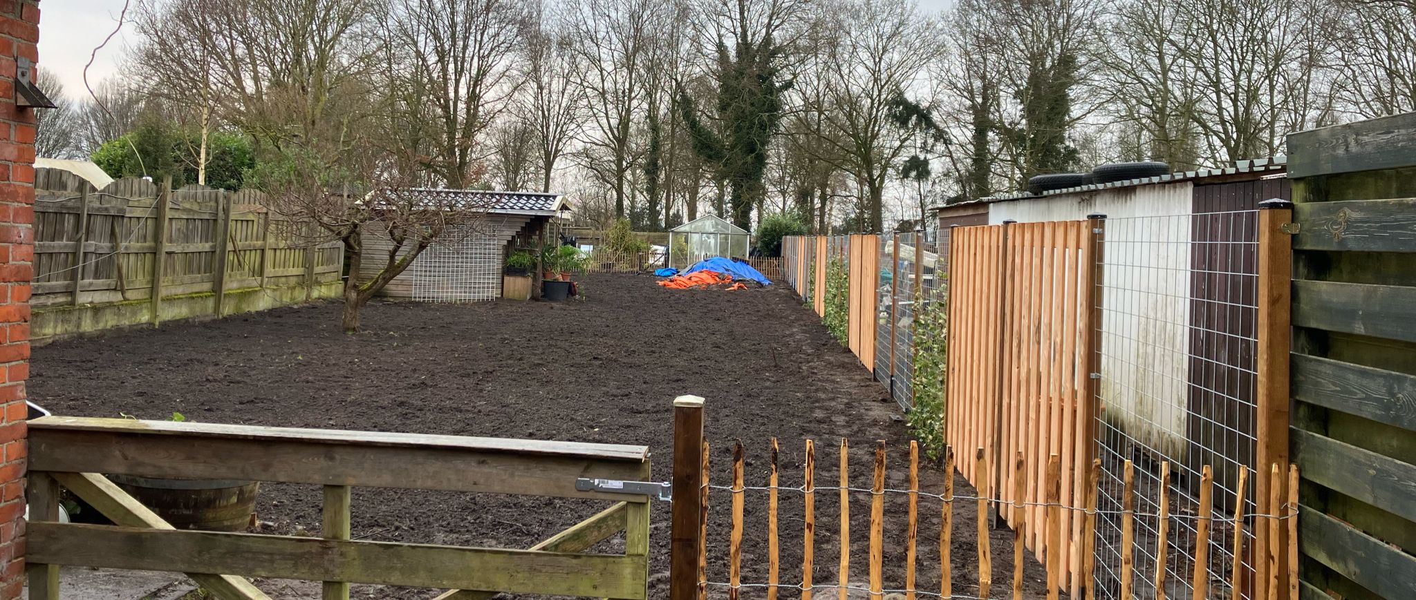 Schutting staat, Hedera aan binden begonnen.jpeg