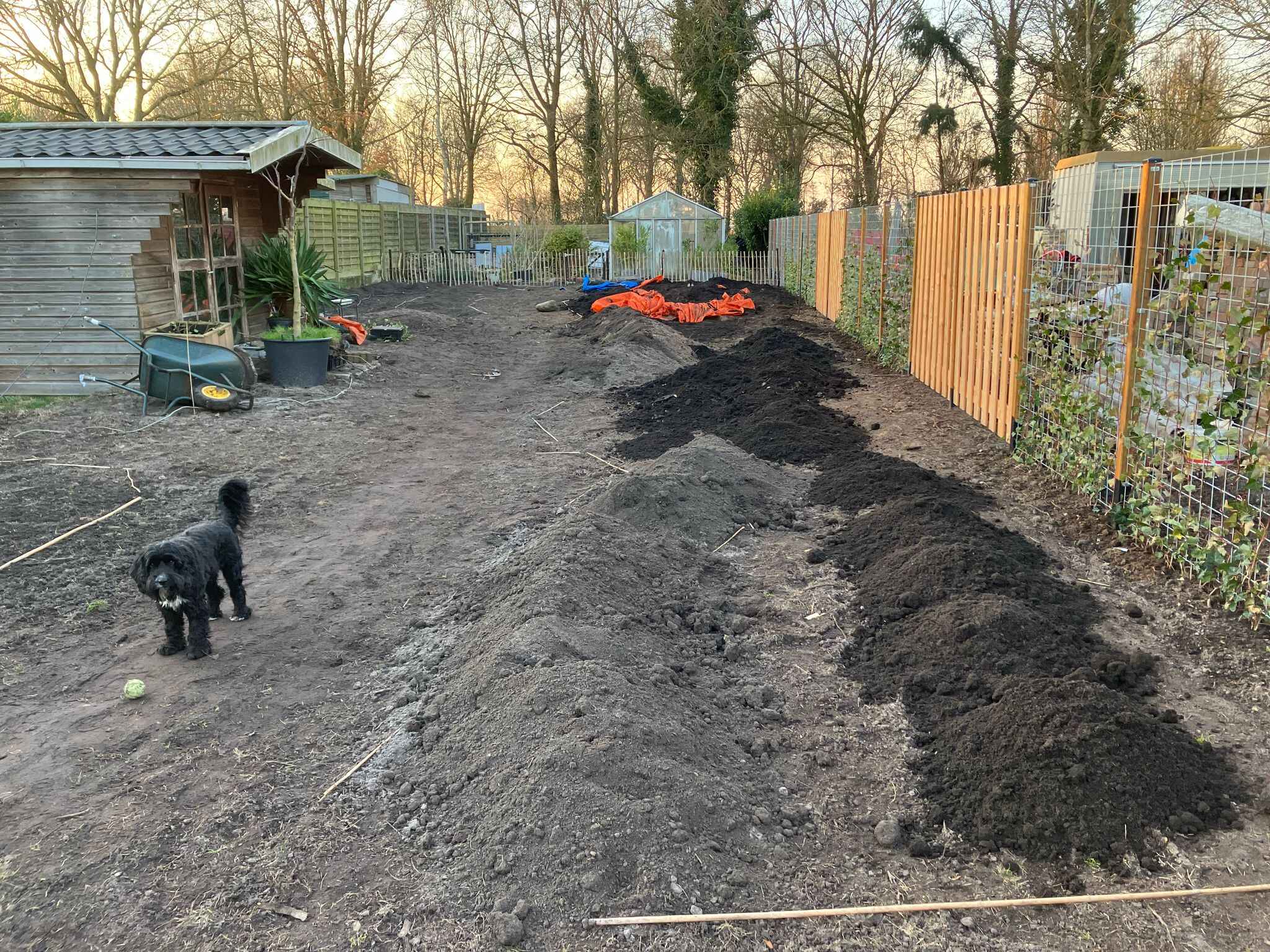 Compost verspreiden, balletje gooien.jpeg