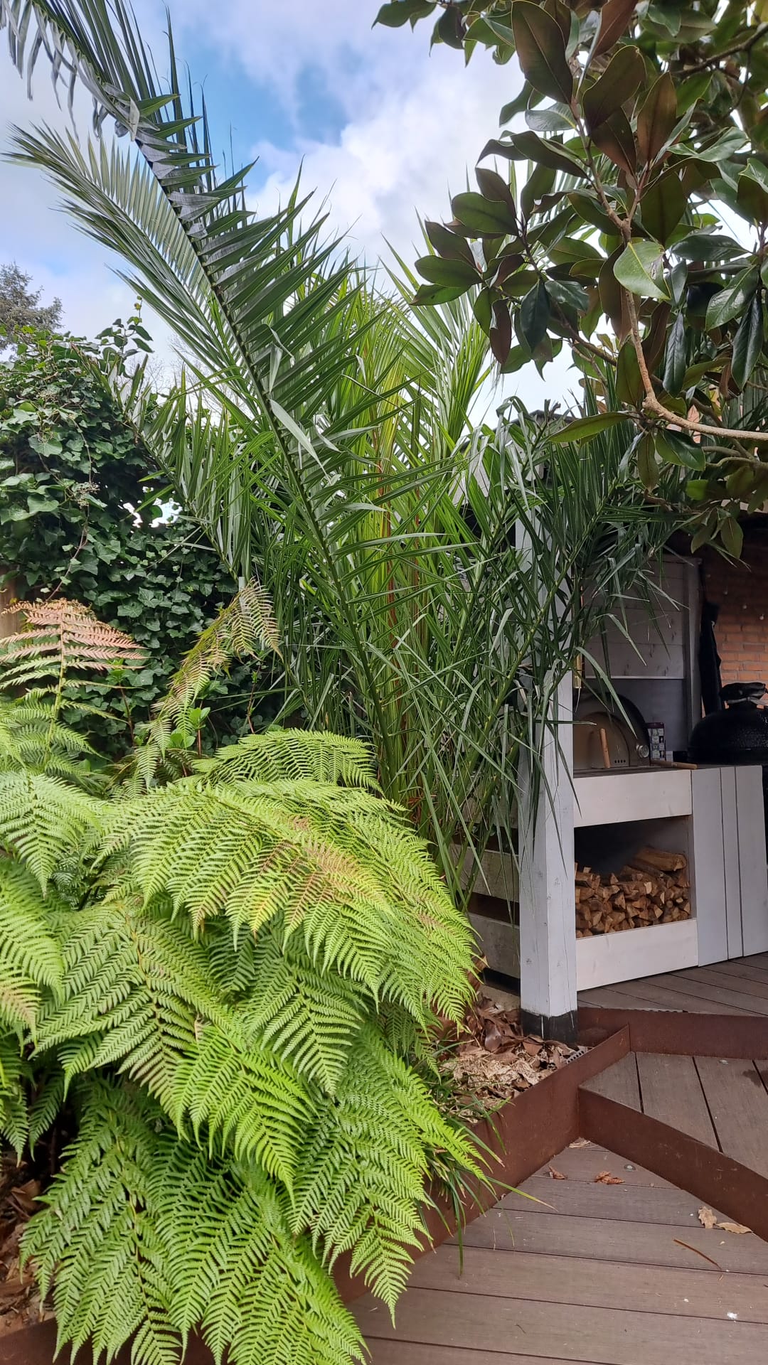 WhatsApp Image 2025-03-30 at 10.49.55.jpeg