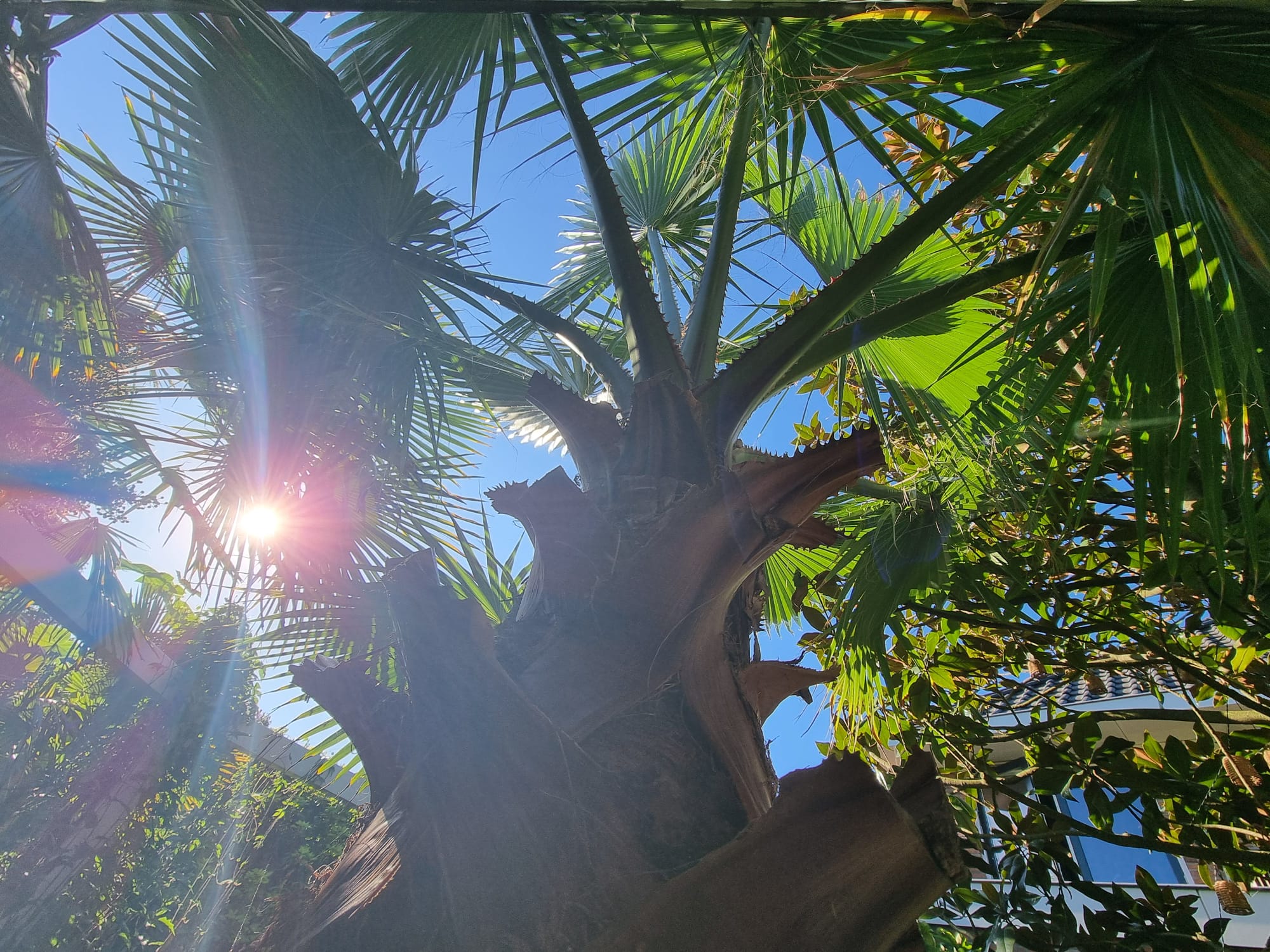 WhatsApp Image 2025-08-24 at 09.43.24 (1).jpeg