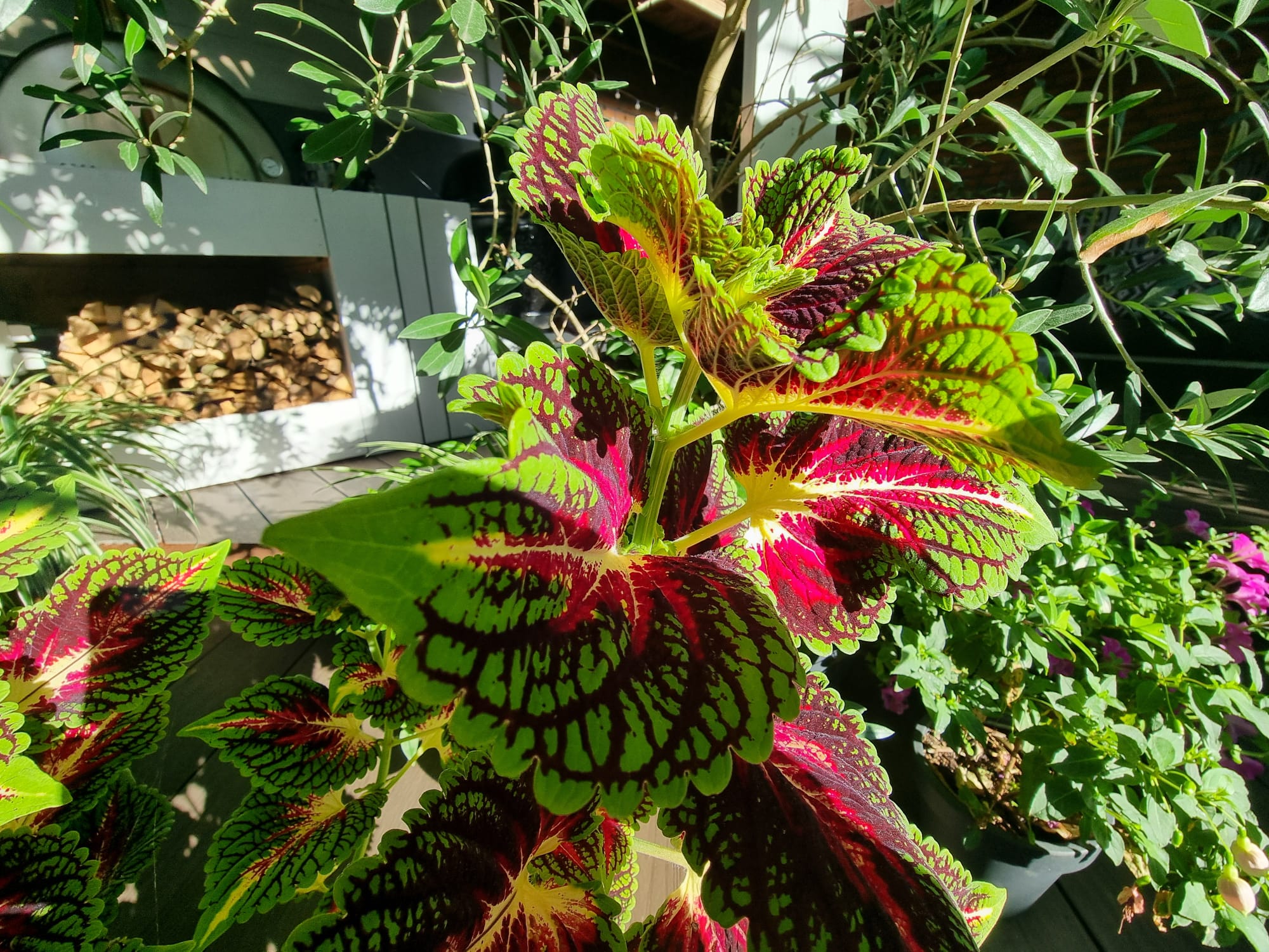 WhatsApp Image 2025-08-24 at 09.43.23 (1).jpeg