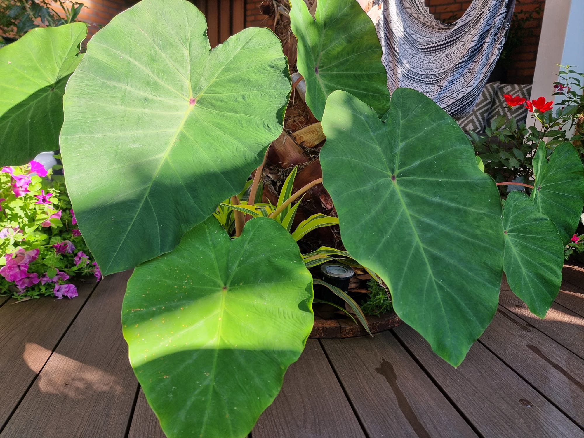 WhatsApp Image 2025-08-24 at 09.43.23 (2).jpeg