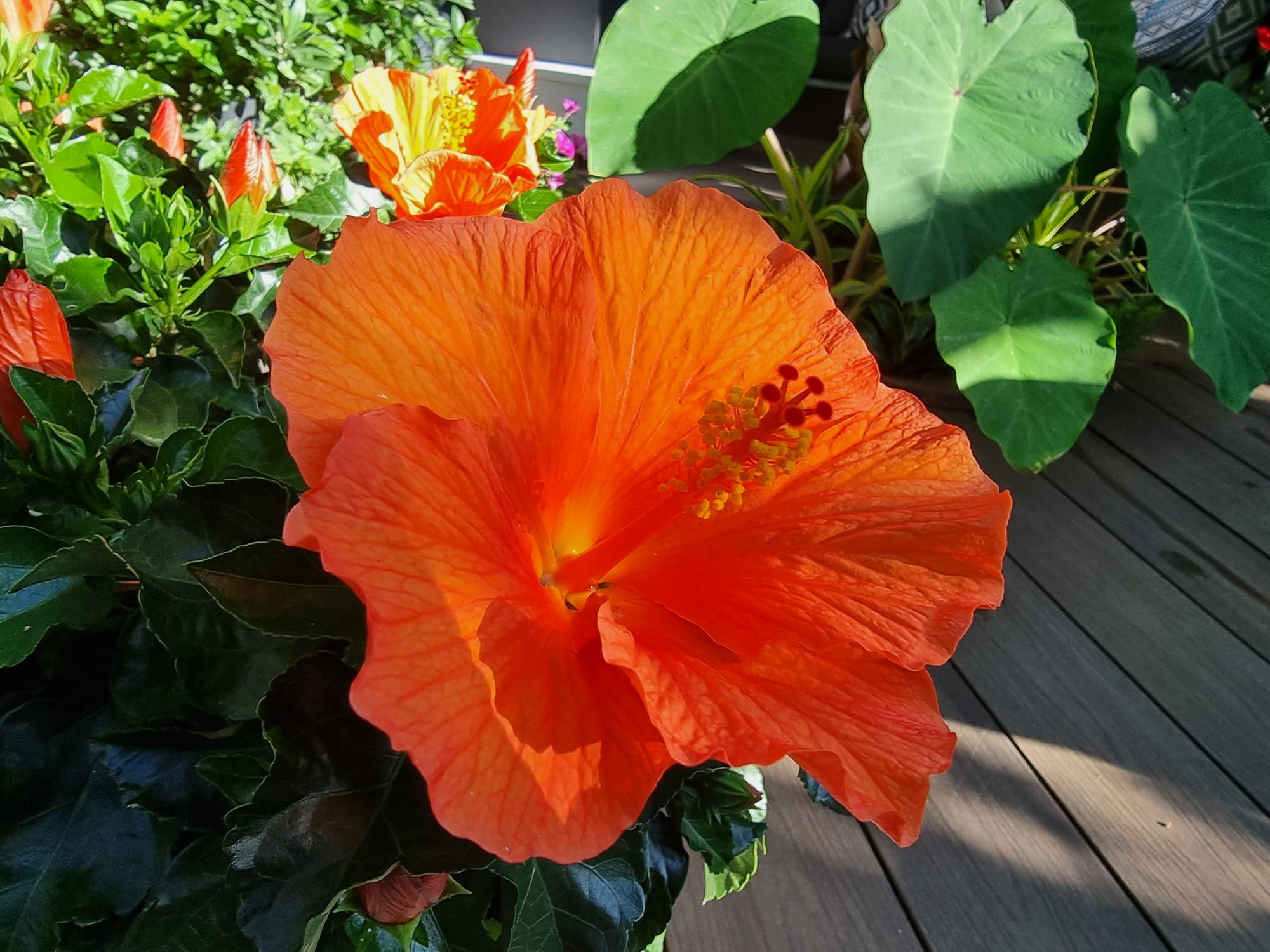 WhatsApp Image 2025-08-24 at 09.43.23 (3).jpeg