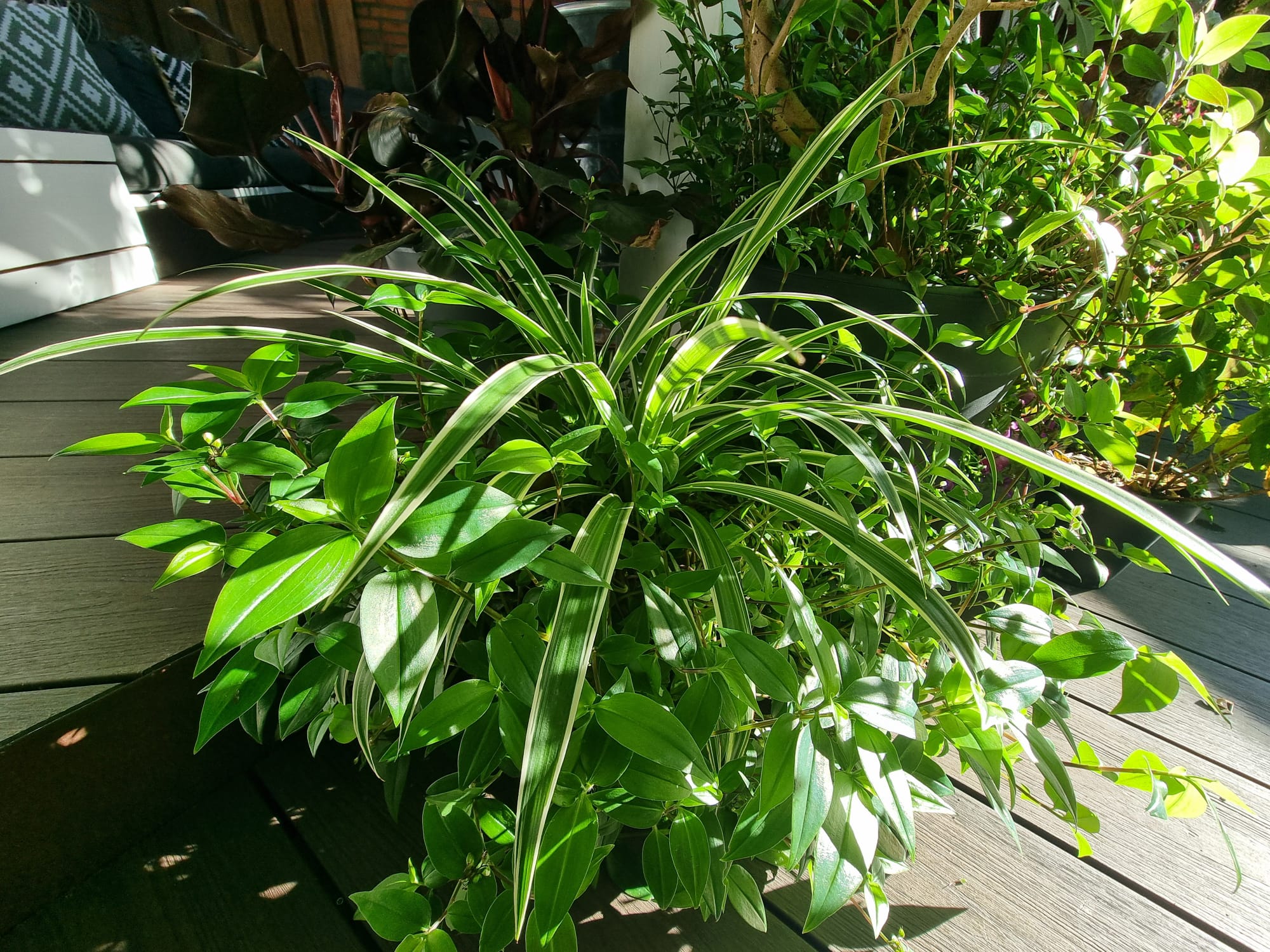 WhatsApp Image 2025-08-24 at 09.43.23.jpeg