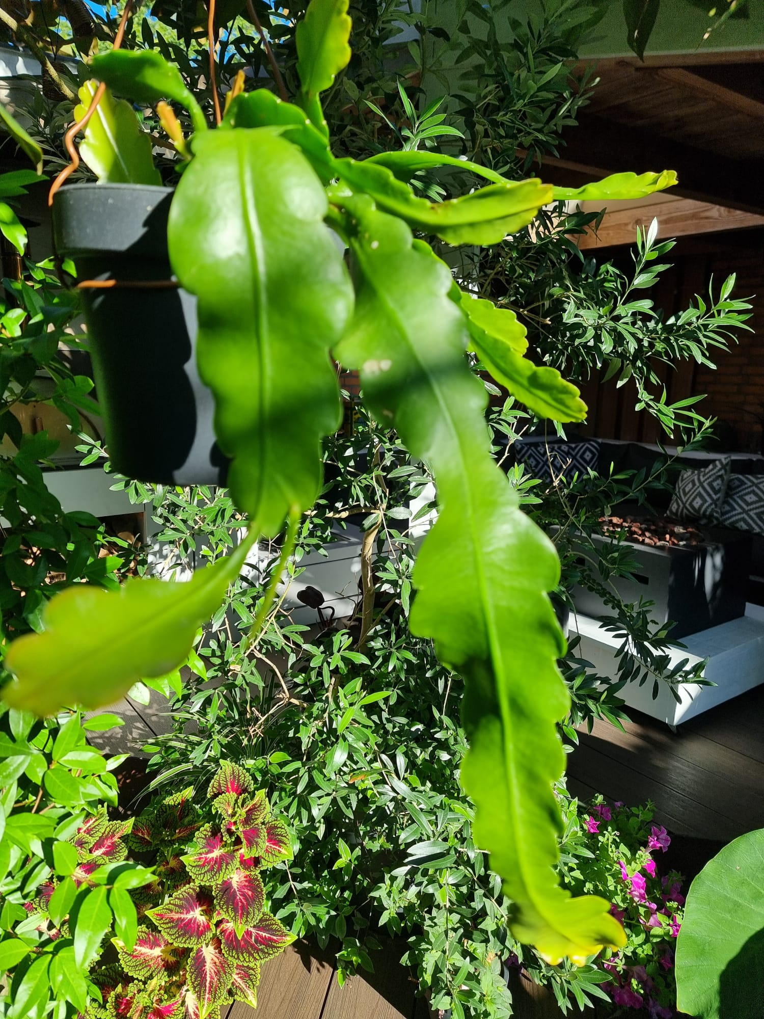 WhatsApp Image 2025-08-24 at 09.43.24 (2).jpeg