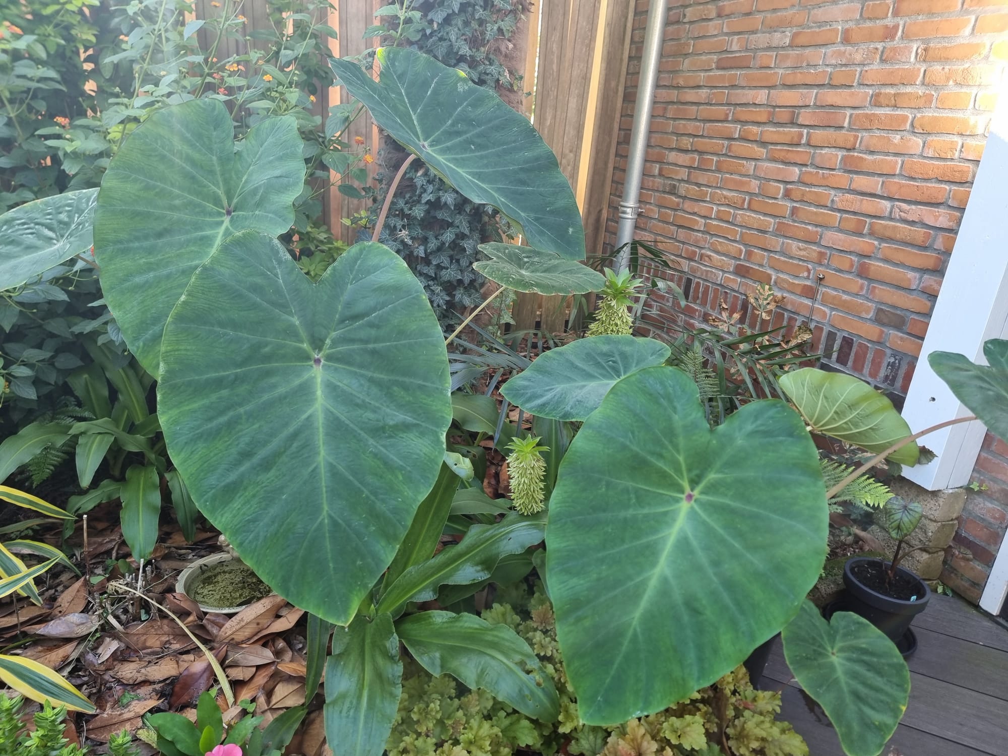 WhatsApp Image 2025-08-24 at 09.43.24 (3).jpeg