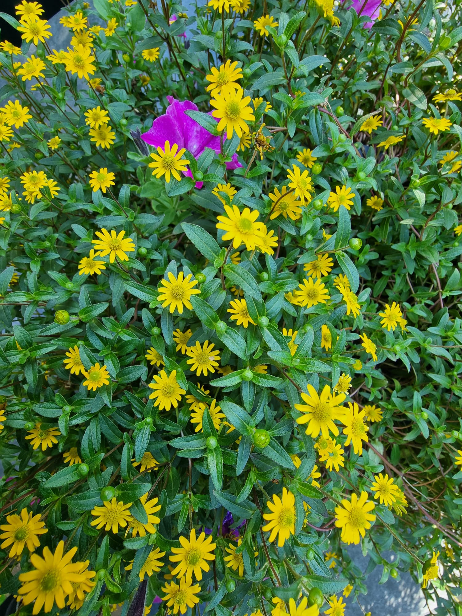 WhatsApp Image 2025-08-24 at 09.43.24 (4).jpeg