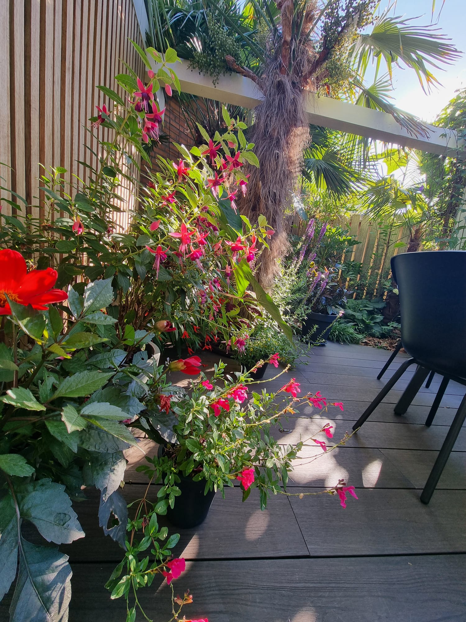 WhatsApp Image 2025-08-24 at 09.43.24 (5).jpeg