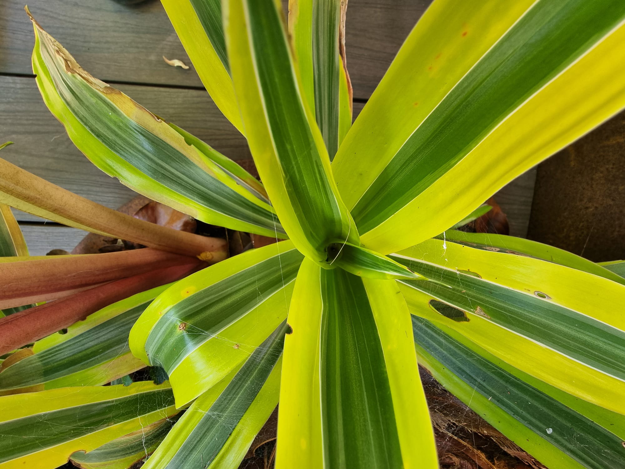 WhatsApp Image 2025-08-24 at 09.43.24.jpeg