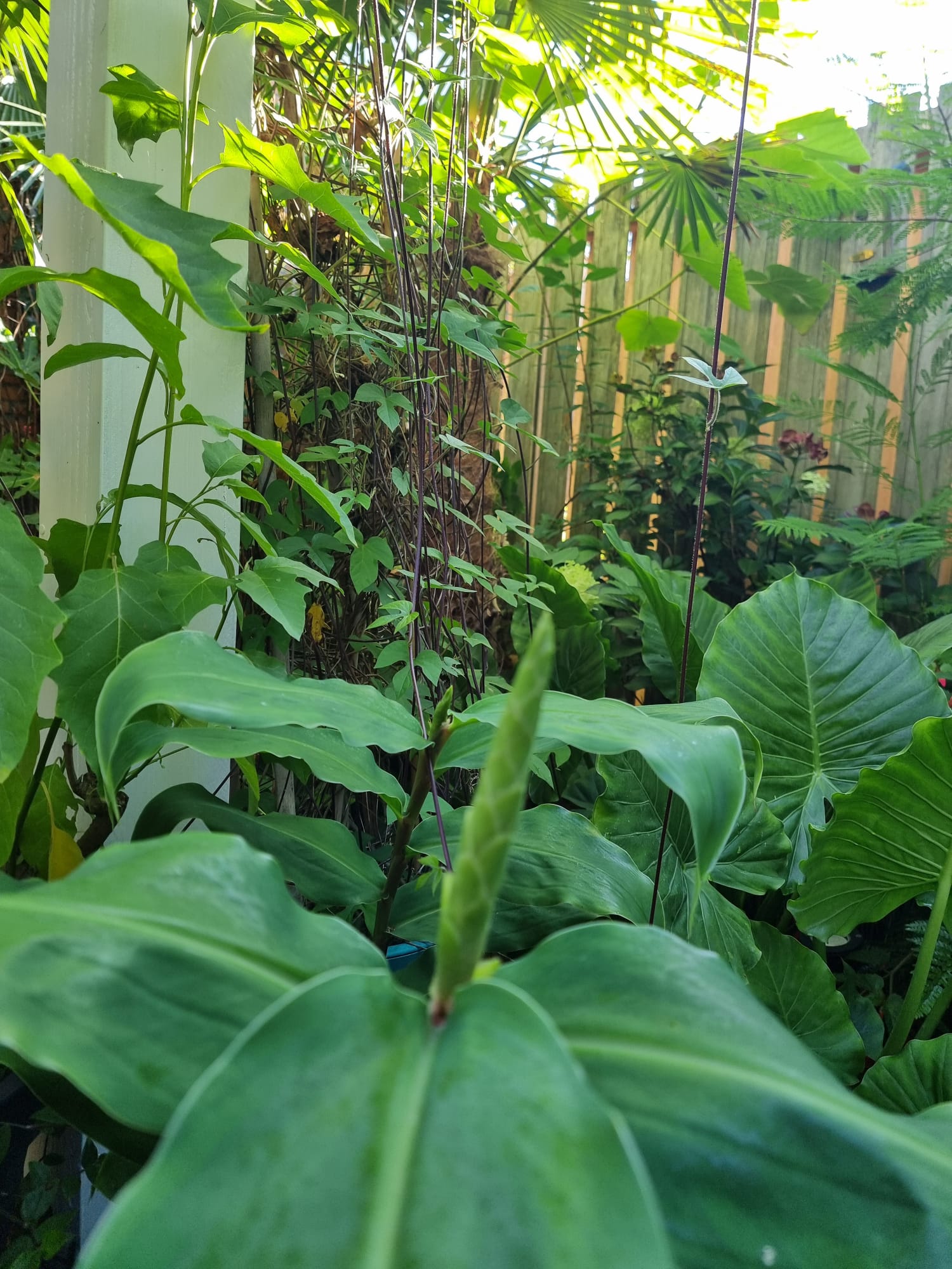 WhatsApp Image 2025-08-24 at 09.43.25 (2).jpeg