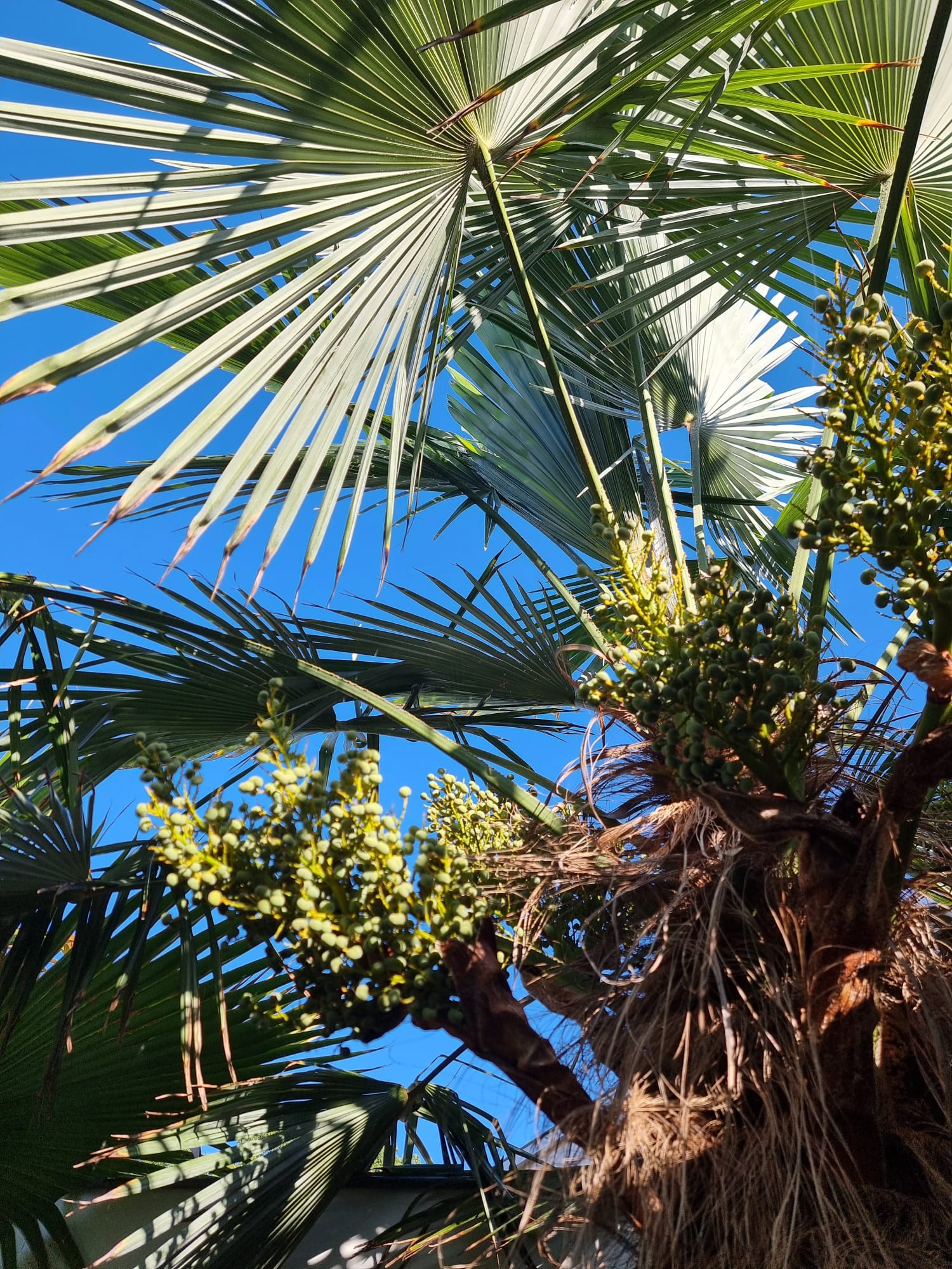 WhatsApp Image 2025-08-24 at 09.43.25 (3).jpeg