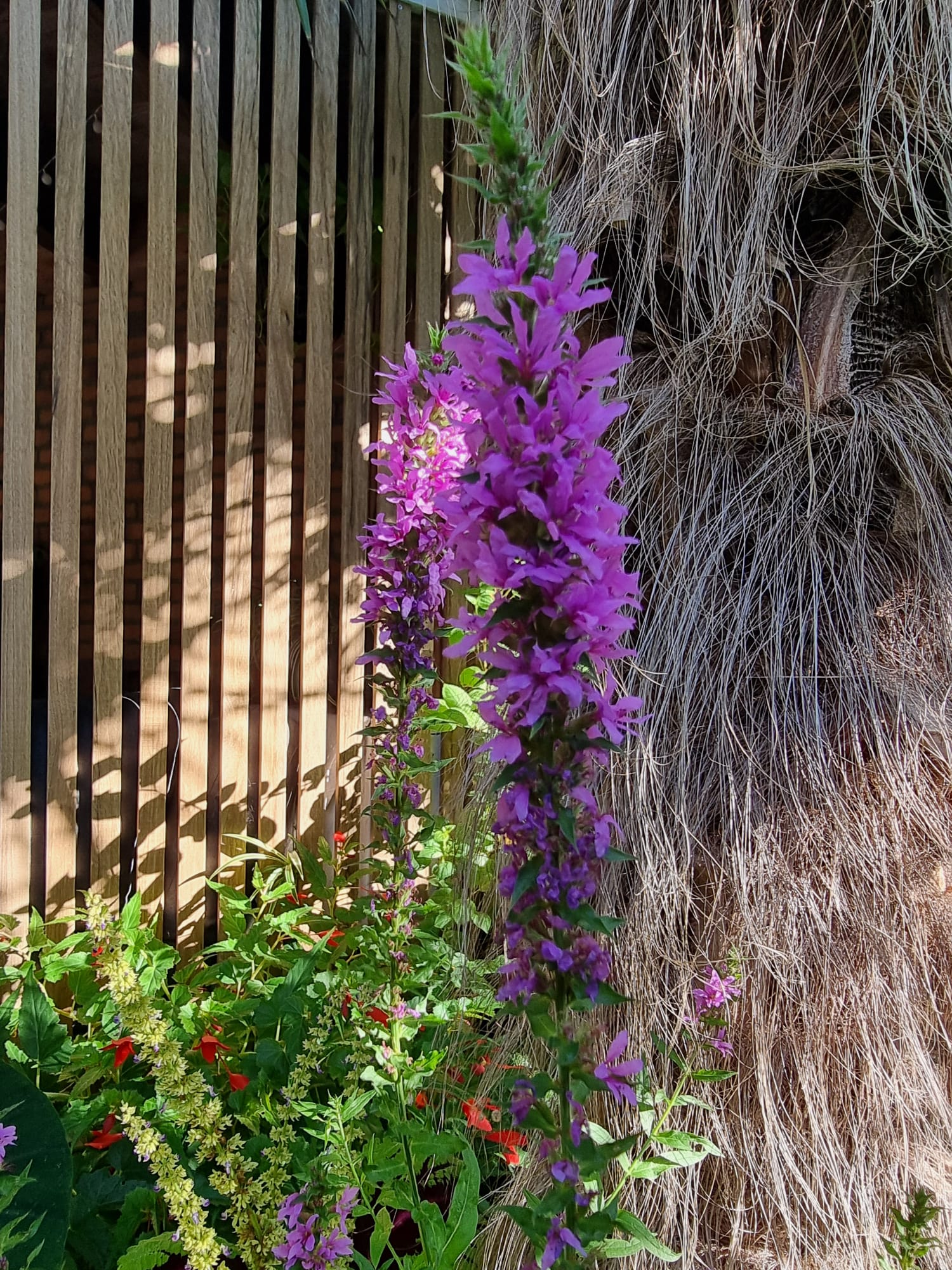 WhatsApp Image 2025-08-24 at 09.43.25 (4).jpeg