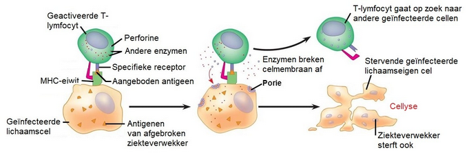 Afwersysteem.png