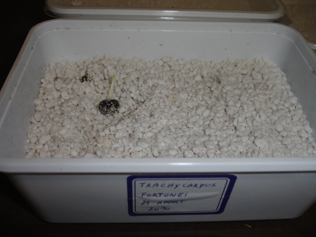 tuin 158_1024x768.jpg