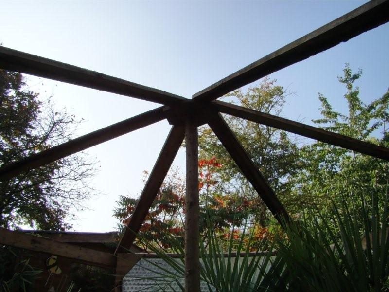 DSC04009.jpg