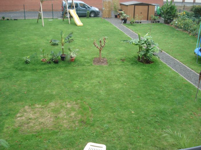 Aanleg border 201009 02.JPG