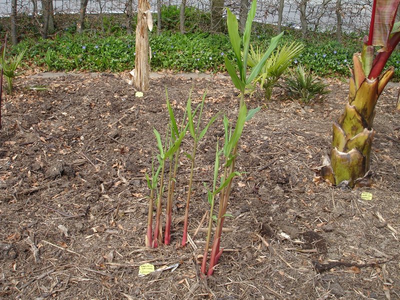 tuin 383_800x600.jpg