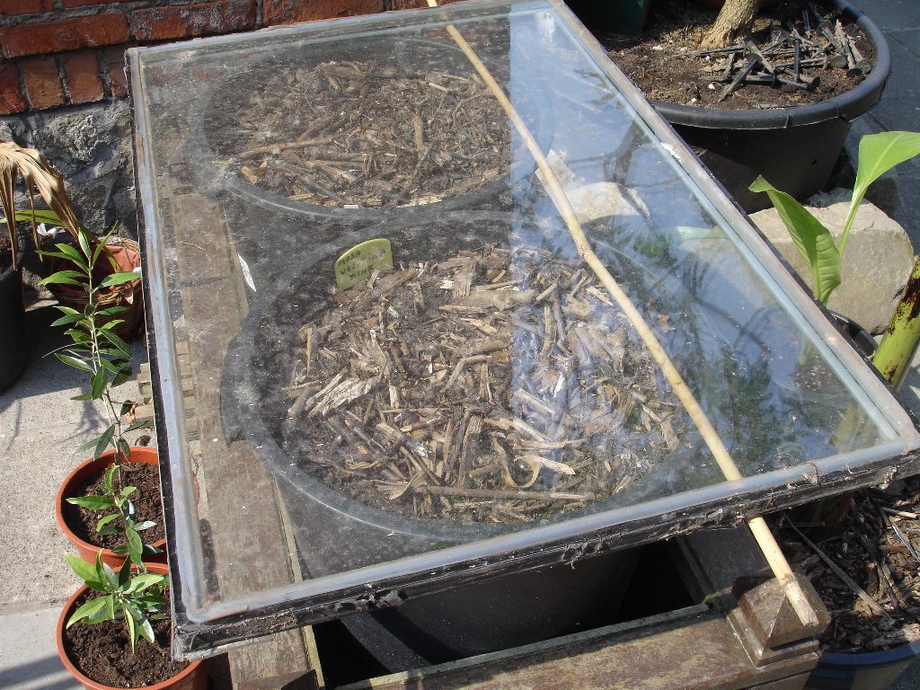 tuin 387_1024x768.jpg