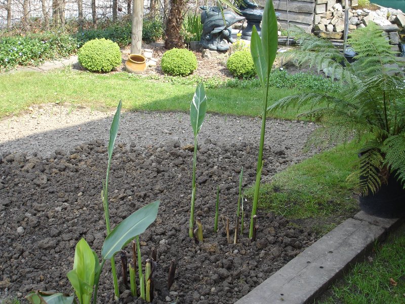 tuin 389_800x600.jpg