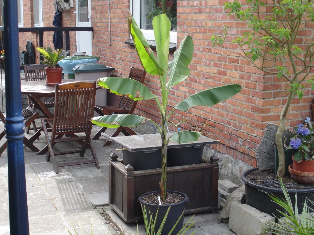 tuin 376_1024x768.jpg