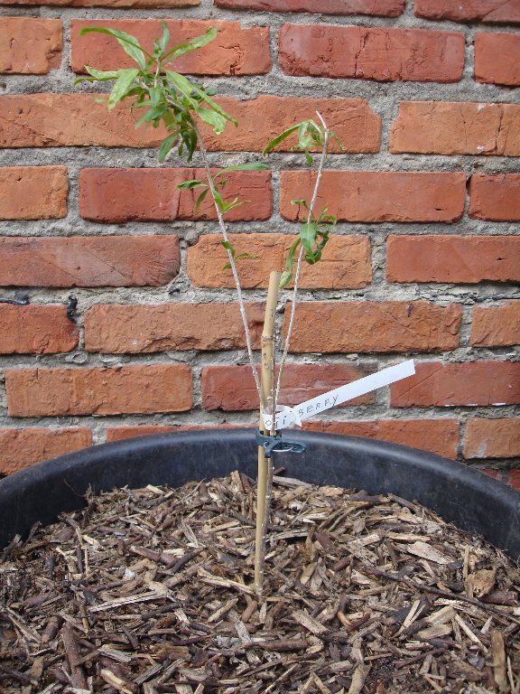 tuin 375_576x768.jpg