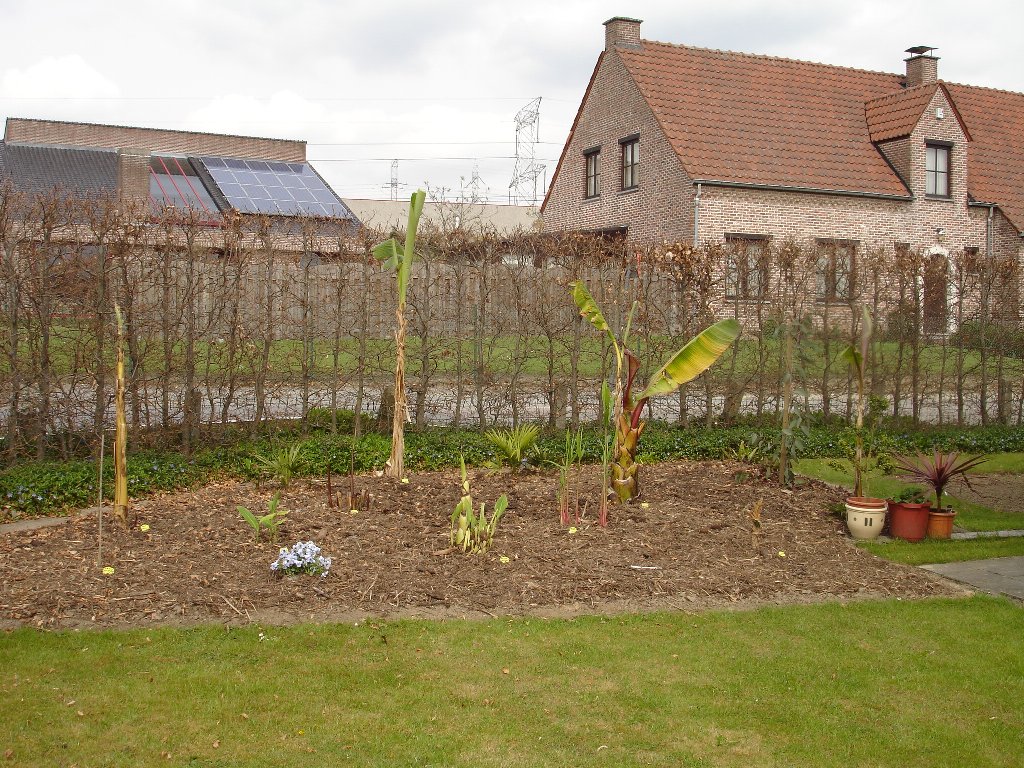 tuin 379_1024x768.jpg