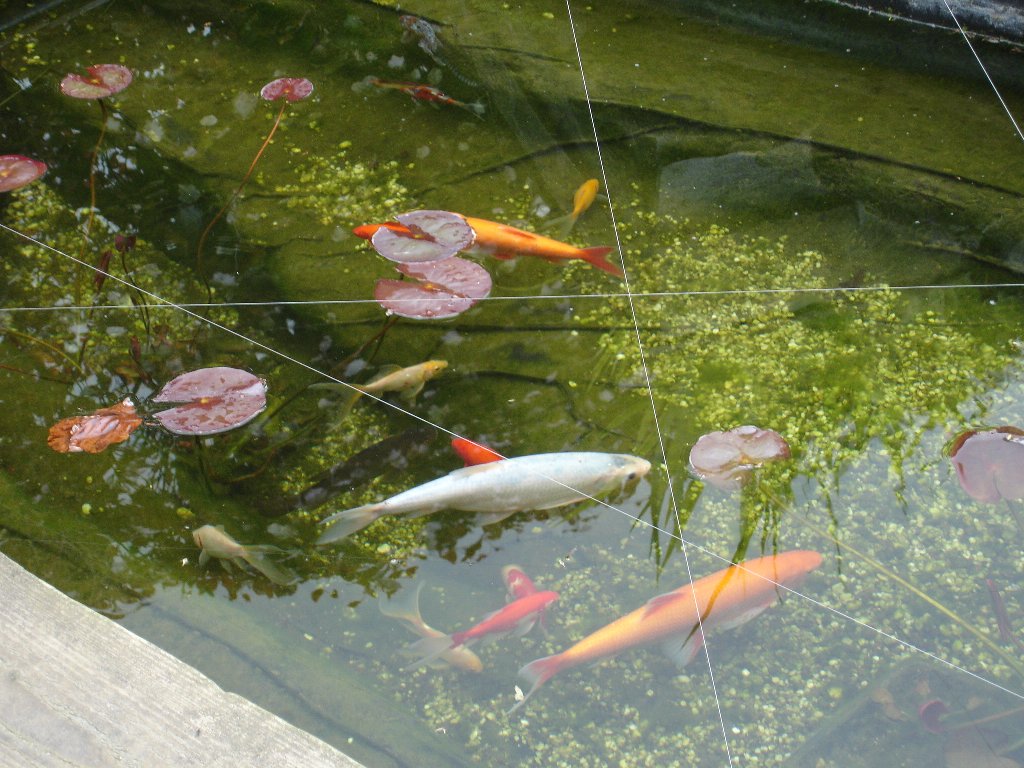 tuin 394_1024x768.jpg
