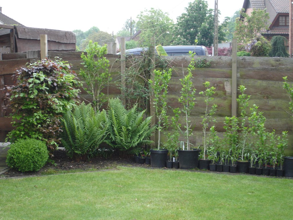 tuin 395_1024x768.jpg