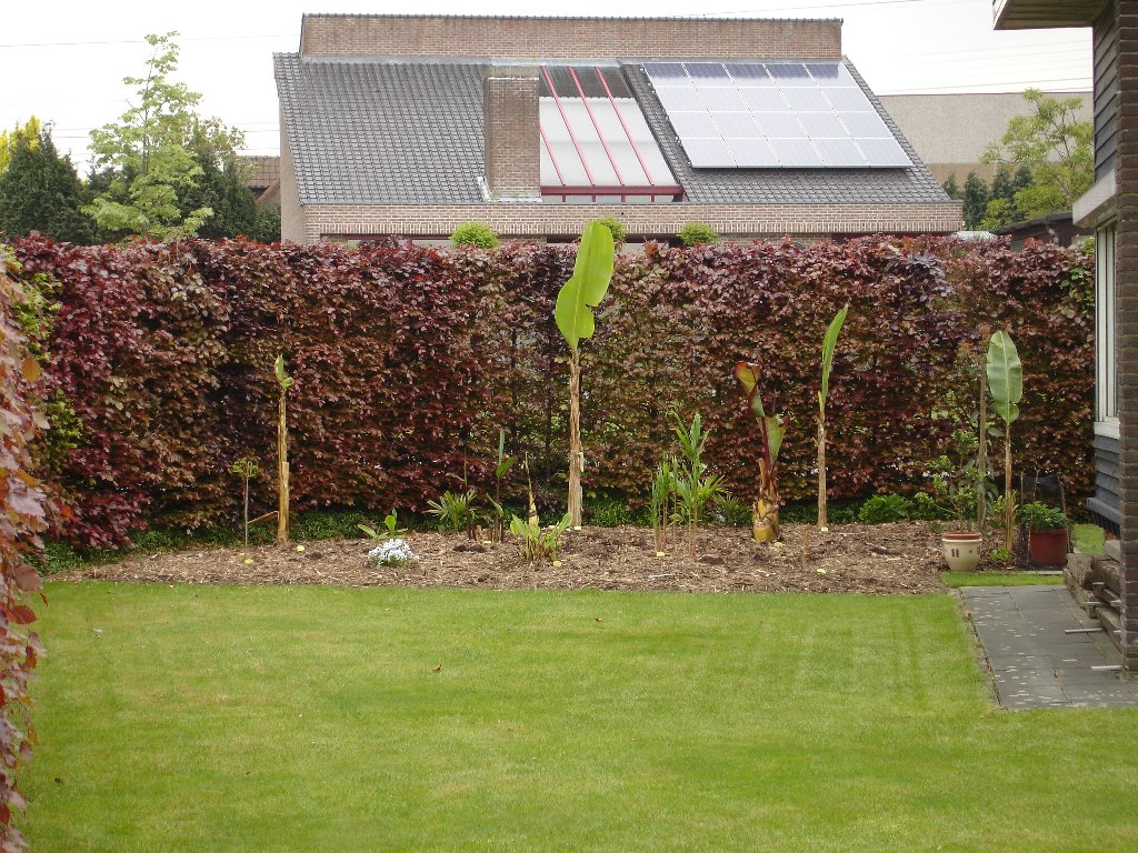 tuin 397_1024x768.jpg