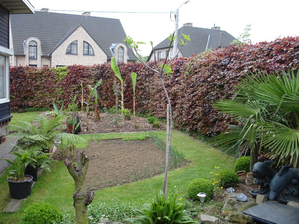 tuin 398_1024x768.jpg