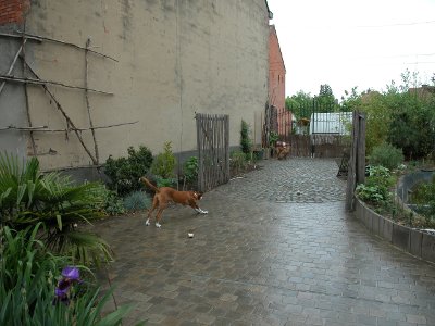 tuin2.jpg