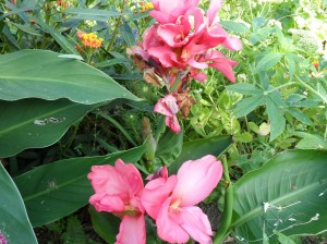SAM_0026