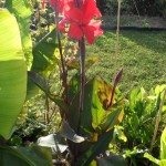 SAM_0153