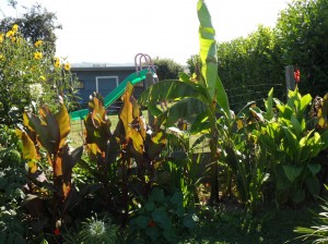 SAM_0251