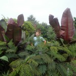 SAM_0610