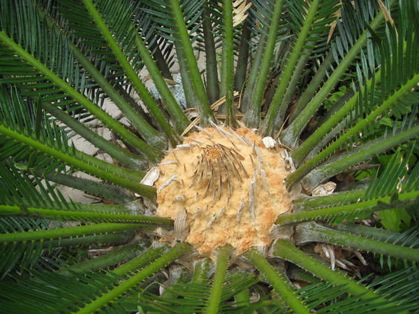 Bestand:IMG 1951.jpg