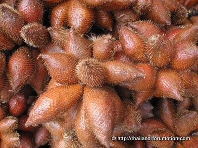 Bestand:Salak fruit.jpg