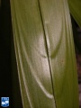 Attalea butyracea bladsegment (2).jpg