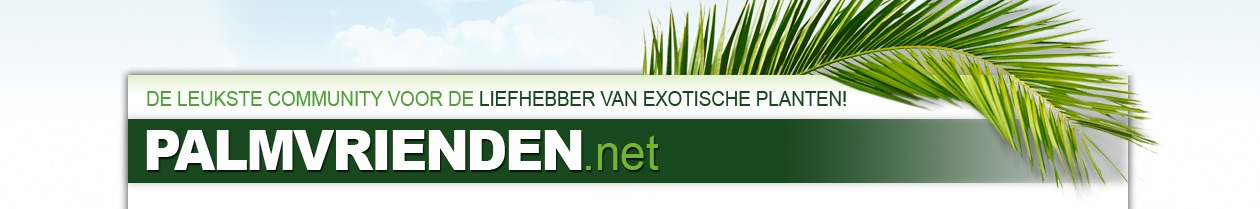 header palmvrienden